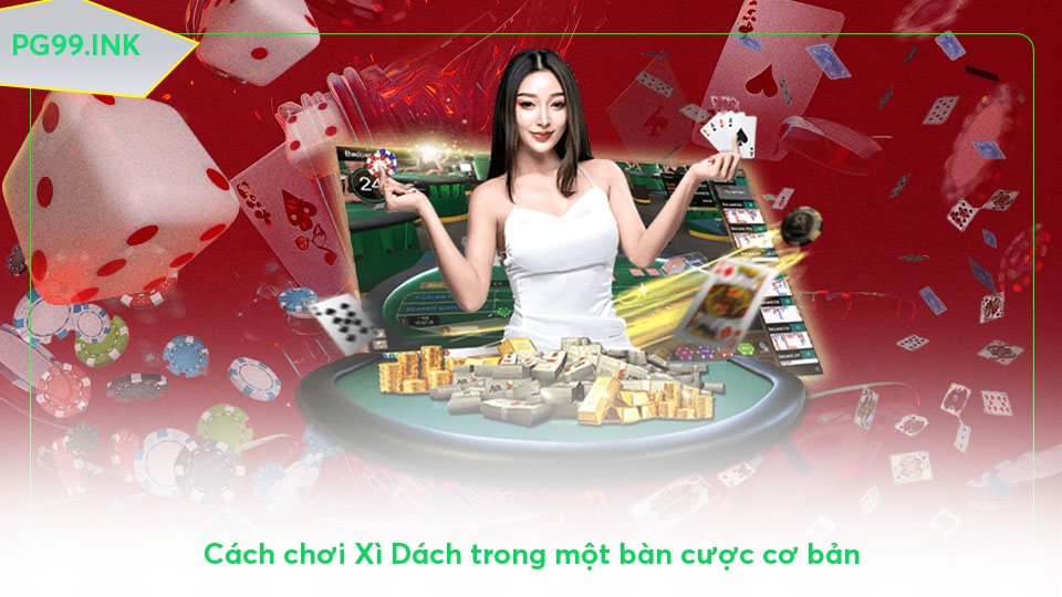 Xì Dách là gì? Cách cược lớn thắng lớn với bí thuật từ cao thủ Cách chơi Xì Dách trong một bàn cược cơ bản