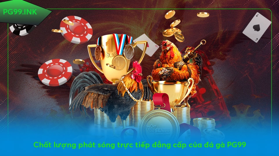 Đá Gà PG99 – Đỉnh Cao Trải Nghiệm Với Tỷ Lệ Cược Siêu Hấp Dẫn Chất lượng phát sóng trực tiếp đẳng cấp của đá gà PG99