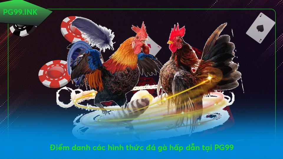 Đá Gà PG99 – Đỉnh Cao Trải Nghiệm Với Tỷ Lệ Cược Siêu Hấp Dẫn Điểm danh các hình thức đá gà hấp dẫn tại PG99